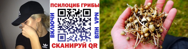продажа наркотиков  Коркино  Псилоцибиновые грибы мухоморы 