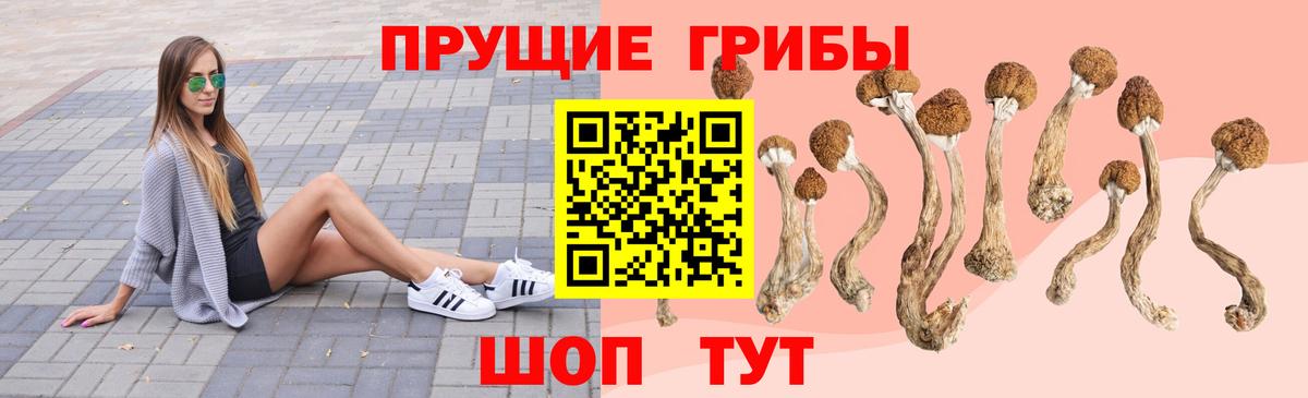 Псилоцибиновые грибы ЛСД Коркино